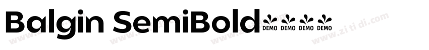Balgin SemiBold字体转换